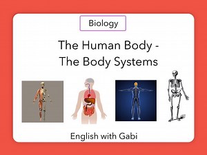 The Human Body- The Body Systems