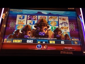 Aristocrat's Buffalo Deluxe slot machine bonus, Nice Win