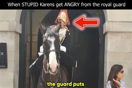 When STUPID Karens get ANGRY from the royal guard | Monkey Adoo