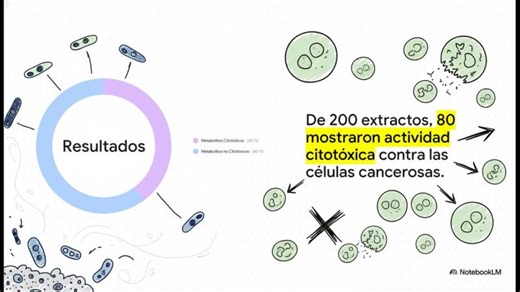Bacillus subtilis contra el cancer de mama: Del Suelo a la Ciencia | Ernesto Hernández Robledo