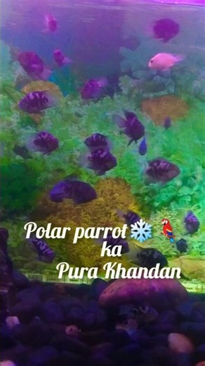 😱“EXCLUSIVE: Experimental Fish Found Inside Secret Lab! 🔬🐟”