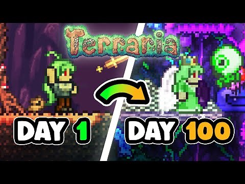 I Spent 100 Days In Terraria's ZENITH Seed!