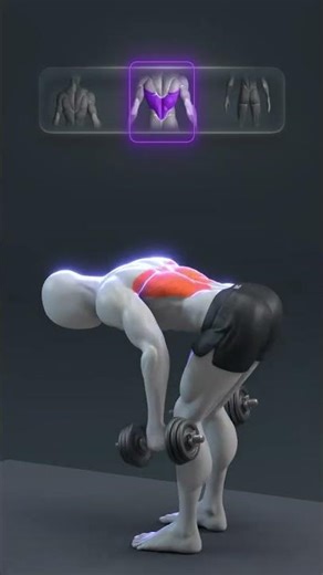 Your Back Day Cheat Sheet (Dumbbell Edition!) 📝