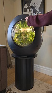 Live a healthy lifestyle with Plantaform!🌱 This indoor garden that grows up to 15 herbs, salads, and vegetables at once. Fresh food from your countertop, ready in 3 weeks. The NASA-inspired fogponics system produces food up to 7x more nutrient-rich than store-bought, with faster growth and better flavor. The app monitors everything and tells you when it's time to harvest. No soil. No sunlight. No experience needed. | Plantaform