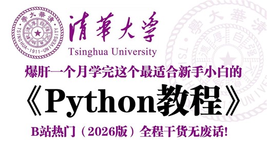 【全568集】2026最细最全的Python零基础全套教程，包含所有干货，一个月带你小白变大神！从入门到精通，全程干货无废话！存下吧，少走99%的弯路！