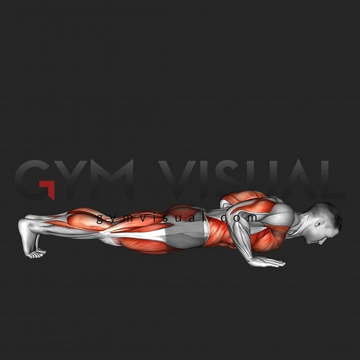 164K views · 1.5K reactions | MOUNTAIN CLIMBER PUSH-UP exercise... and more workout animation videos on Gym visual - gymvisual.com | Gym visual | Facebook