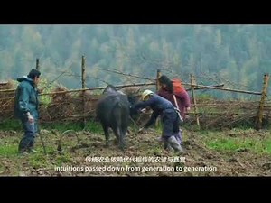 Digital agriculture is an important planting technology for the future.