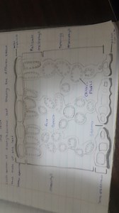 Cross-section of dicotyledonous leaf showing the different tiss... | Filo