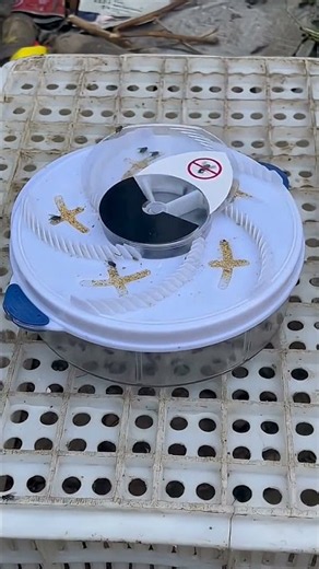 ▶️ Automatic Electric Insect Flycatcher — Best Indoor Bug Trap & Fly Catcher ( # 3137 )