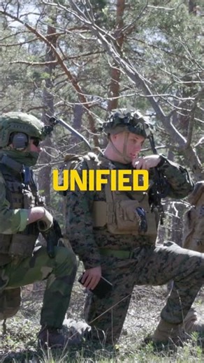 3rd ANGLICO Conducts Multinational Fires Integration During Aurora 26