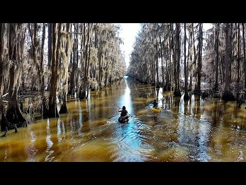 Caddo Lake | Kayaking the Government Ditch | Jefferson, Texas