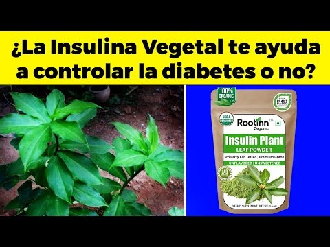 Plant-based insulin: a goldmine for your blood sugar and diabetes control?