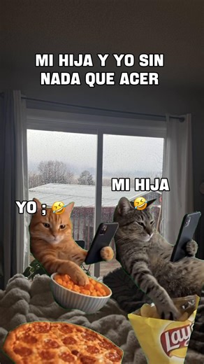 #MemeCuthu#Meme #MemeCut #humo #🤣🤣 | meme