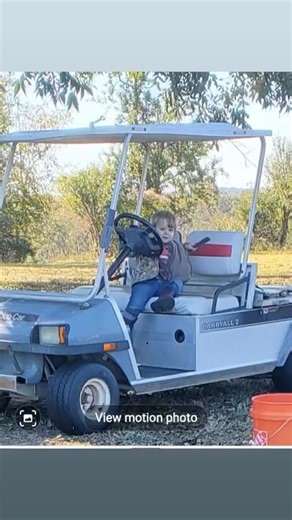 19 reactions · 12 comments | My Grandson helping Aunt Peggy pick up Pecans | Sheryl Powell Simpson | Facebook