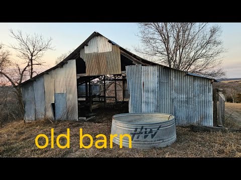 Cleaning old barn