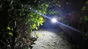 Watch mini keychain light on Amazon Live