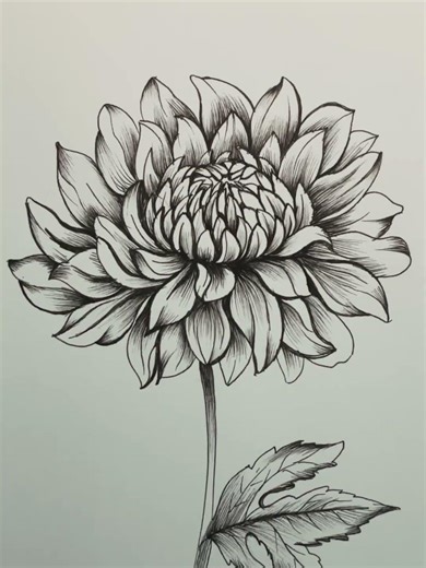 Beautiful! Flower Art #drawing #beginnerarttips #arttutorial