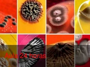 Descomposición de los alimentos