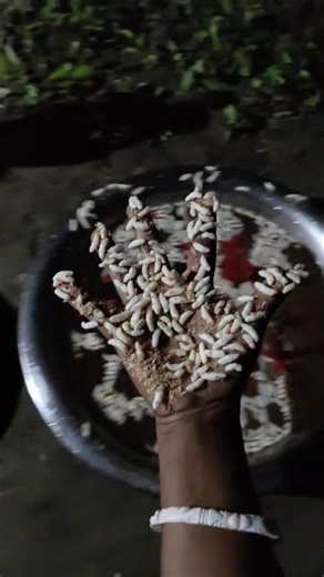 How to make donuts diffrently - foodiebeats tiktok trend - fun for kids - short video