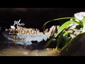 Meri Zindagi Hai Tu | Full Ost Lyrics | Asim Azhar | Ary Digital Drama