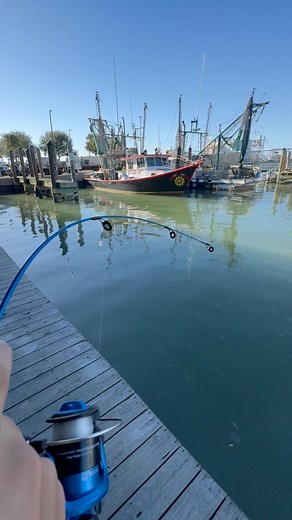 1.4K views · 12K reactions | What did I hook on the mini pole but wrong answers only #minipole #bigfish #fishing #big #fypシ | Justin Williams | Facebook