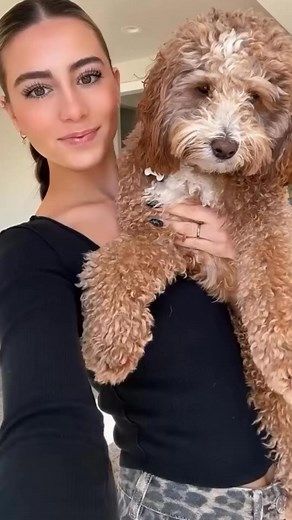 Infinity Protection Service on Reels