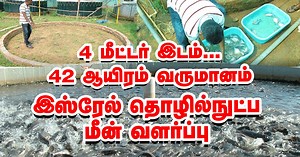 4 மீட்டரில் ₹42,000 தரும் இஸ்ரேல் மீன் வளர்ப்பு! | Biofloc fish farming