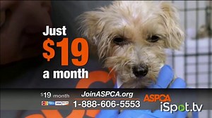 ASPCA TV Spot, 'Every Day in America' Song by Willie Nelson