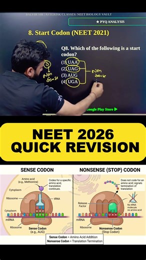 How could Nonsense be CODONS?🤔| NEET 2026 | Quick Revision #molecularbiology #neetpreparation
