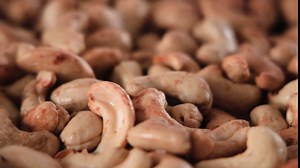 Meal Replacement Bar by LyfeFuel - Vegan Protein Bar Packed with Organic Superfoods, Fiber & 21 Essential Nutrients from 100% Plant Based Whole Foods (Fudgy Brownie - Box of 10) Gluten Free, Paleo