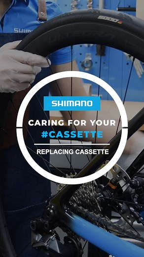 618K views · 952 reactions | Fine-tune your ride with cassette care! ️✨ While this is harder to spot visually, a sign of a worn-out cassette is poor shifting or chain skipping.  Extra tips! Replace your chain ⛓️ every time you replace your cassette. #ShimanoRoad #CaringForYourBike #bikemaintenance #shimanoservicecenter #cassette | Shimano-Road | Facebook