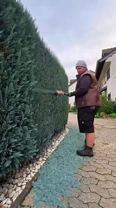 384K views · 5.4K reactions | I just kicked off the gardener using #gardenerchallenge! Gardener Challenge Tap the hashtag to view my challenge. The challenge will run from May 25 to June 24. Can't wait to check out what you all have to share! | stevethegardener | Facebook