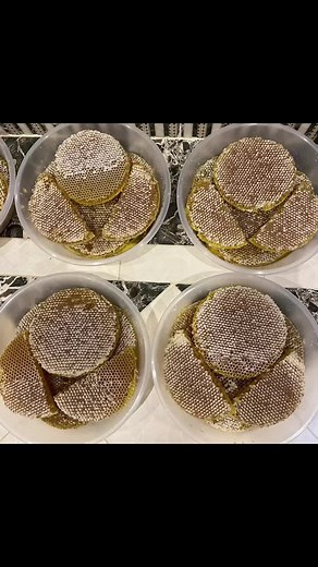 عسل النماص على TikTok