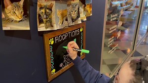 6.5K views · 492 reactions | A few things before we watch the video...