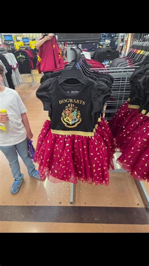#walmart #harrypotter