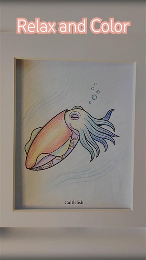 Sea Life Cuttlefish Fish Page from Ocean Dreams Coloring Book
