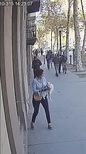 😺 CCTV Footage: Man Saves Falling Cat from Balcony 🐾 #Shorts #animalrescue