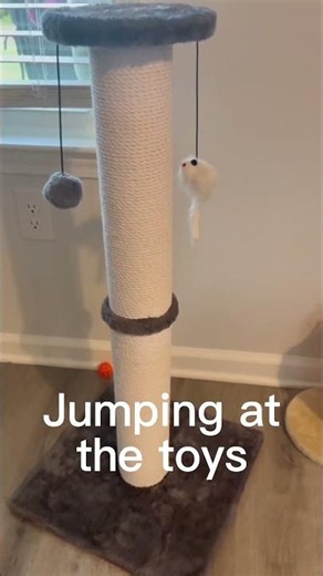 Ahomdoo Cat Scratching Post for Indoor Cats | Tall Cat Scratcher with Soft Cotton Rope