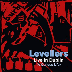 Levellers - Live In Dublin