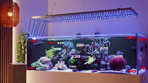 Orphek OR4 iCon LED Bar (Blue Sky, 30)