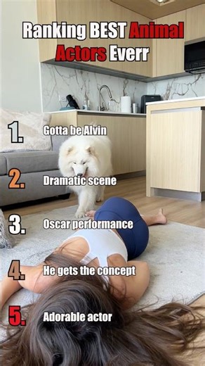 Ranking Best Animal Actors Ever 🐶