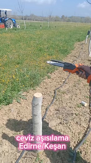 Cengiz Bilgin (@cengizbilgin6) adlı kullanıcının Zalimsin Yar - Müslüm Gürses ile oluşturduğu videoları