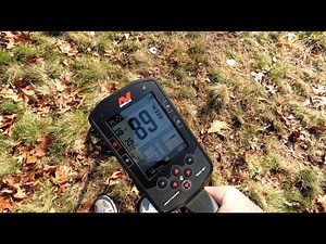 Minelab Manticore Custom Coin Program & Setup