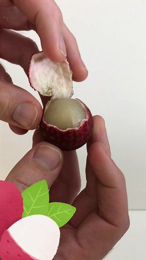 How to Open a Lychee: Easy Tips and Tricks for Enjoying this Delicious Fruit