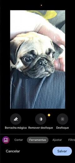 Como Remover Objetos ou Pessoas de Fotos Usando o Google Fotos