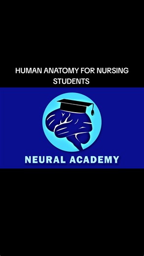 Understanding the Clavicle: Anatomy and Function