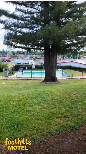 24 reactions · 13 shares | ✨ Welcome to Foothills Motel — Your...