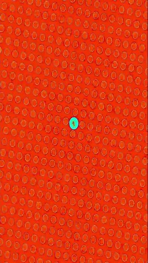 “The Most Hypnotic Optical Illusions You’ve Ever Seen!”