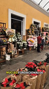 El Mesón de las Flores ha sido un lugar profundamente simbólico para la ciudad de Tehuacán, pues estuvo presente en uno de los momentos más importantes de su historia: cuando los pueblos indígenas compraron su título de ciudad a la Corona española en 1660. Esto subraya su relevancia como parte del núcleo fundacional de la ciudad moderna. En este sitio, durante siglos, se comercializaron productos tradicionales como la flor de cempasúchil y el llamado moco de pavo, los cuales eran requeridos por 