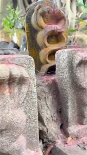 Rahu Ketu Sthalam | Dosha Nivarthi | Spiritual Remedies & Temple Darshan